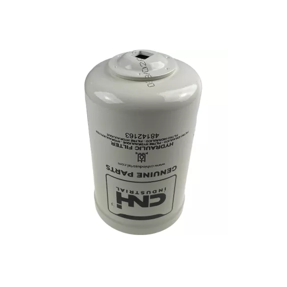 Brown bear - Vector graphics