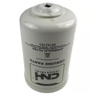 Brown bear - Vector graphics